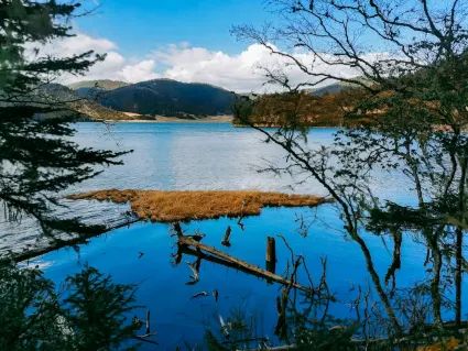 77spins Casino Application mobile